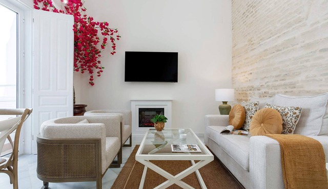 Luxury duplex in Seville with a private pool. Mendoza Rios II