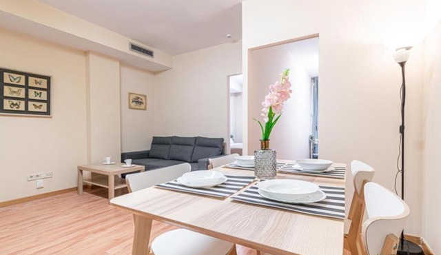 Madrid cozy apartment