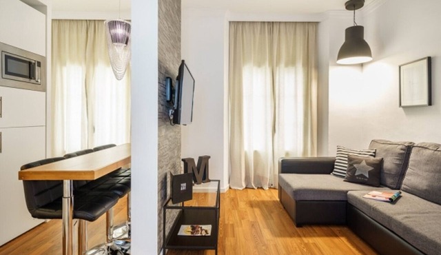 Modern Apartment in Malaga with Wi-Fi near Plaza de la Merced