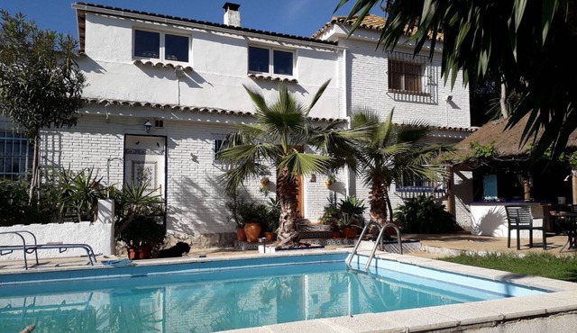 Near Torremolinos, in an oasis of peacen