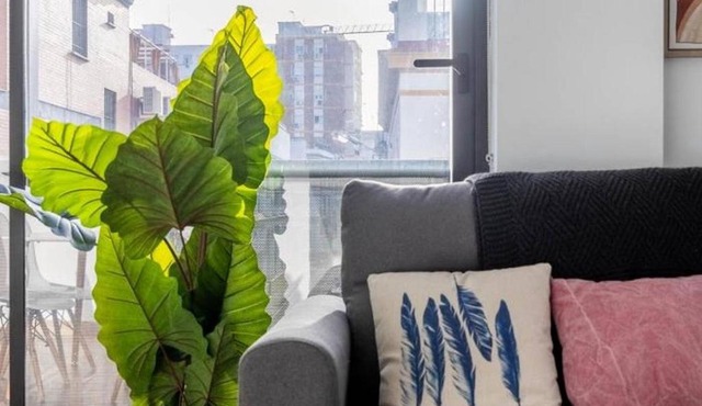 Nervión Suites 1 - Vacacional Sevilla