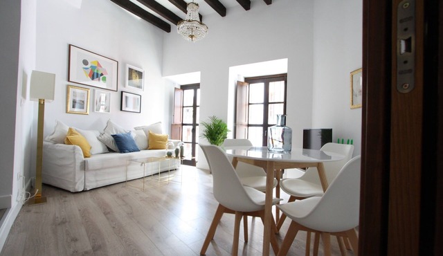 New Apartment C/San Fernando