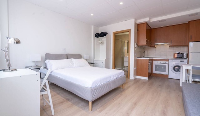 New Luxury Apartment Madrid Airport 109