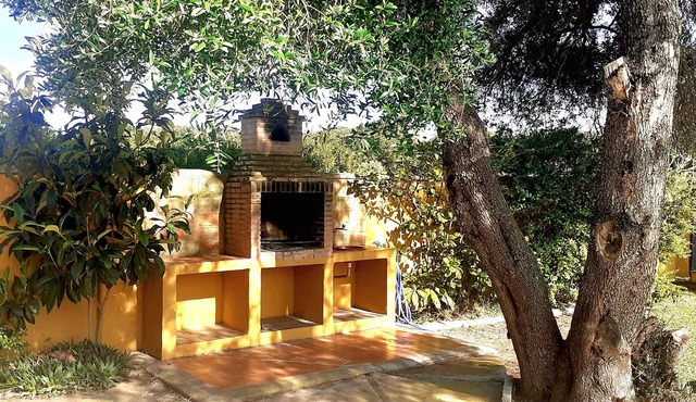 Nice Rural House in Conil