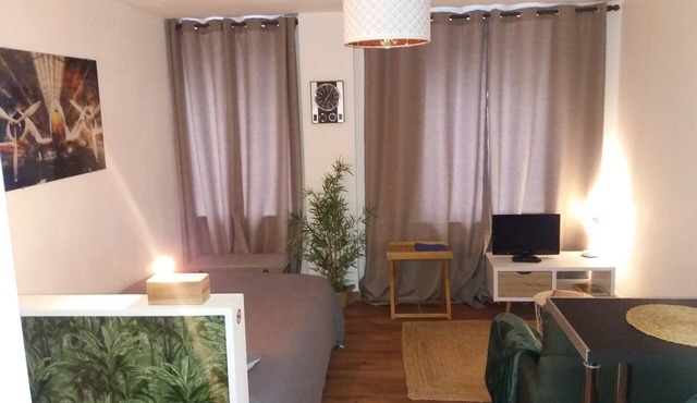 Nice studio with terrace, downtown Brest in Brest
