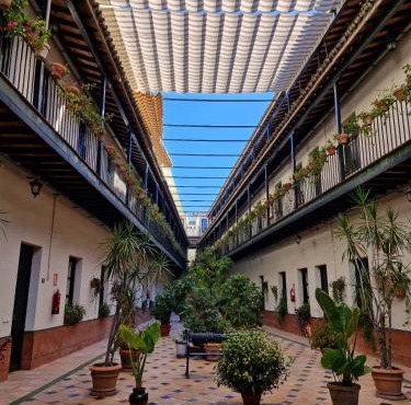 Patio Cartuja