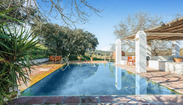 Pet friendly home in Valverde de Leganés