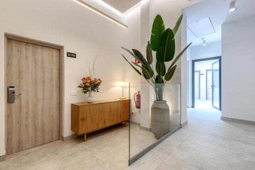 Plaza 5 Rooms Vistalegre