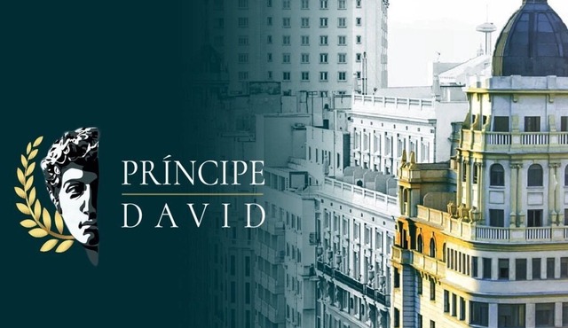 Príncipe David lV luxury apartment Gran Vía