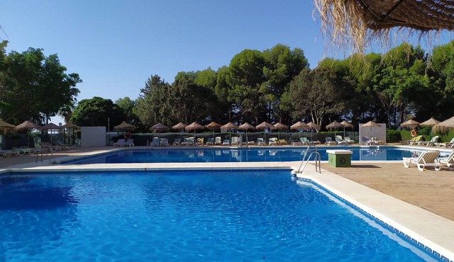 Precioso Estudio Benalmádena ¡excelente Ubicación!