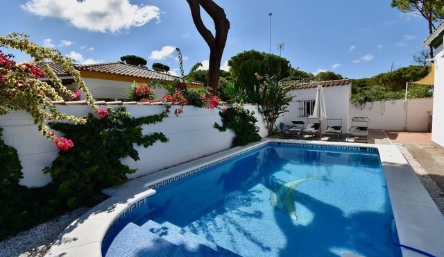 Quiet Villa Joanna with nice outside area and barbecue