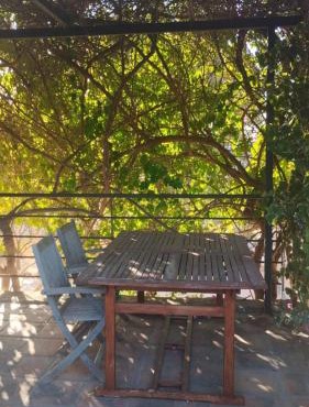 Relax entre pinos