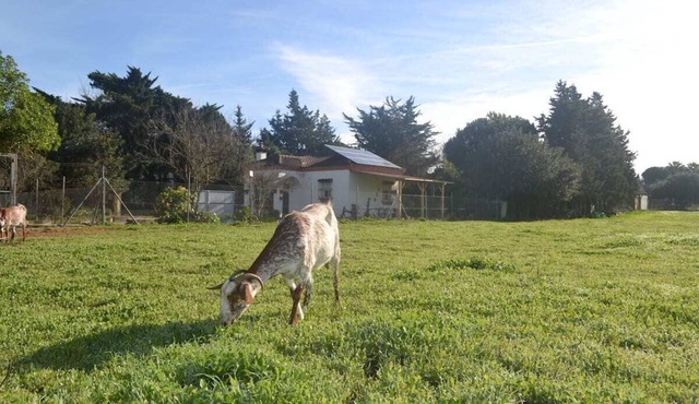 Rural house in the middle of nature