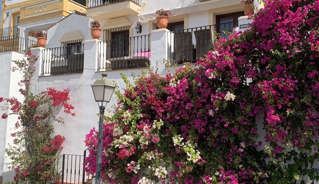 Sea views and tranquility. Beautiful family house in the Andalucian mountains