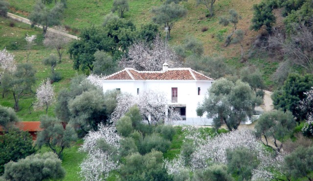 Secluded country house with pool in beautiful setting, views in Gaucin