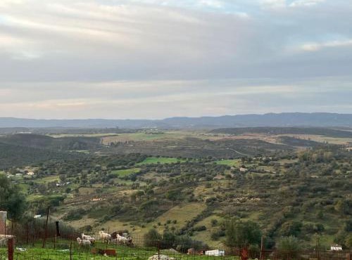 Sierra de Huelva-Chalet completo