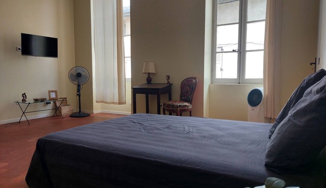Spacious Studio in Provence (Near Avignon & the Wine Route) in Roquemaure