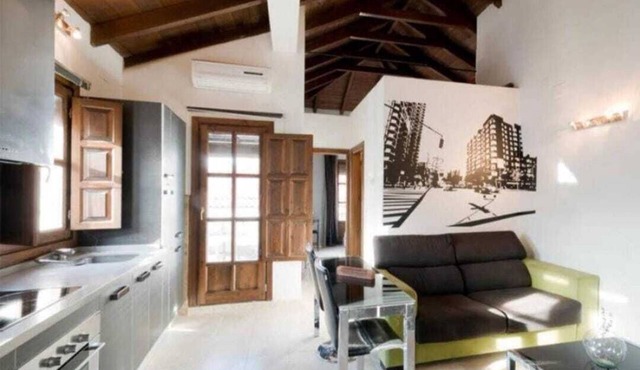 Spectacular penthouse with private terrace well communicated in the center of Granada