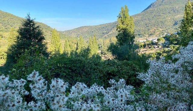 Stay Wild en Las Casitas de Huerta Arriba