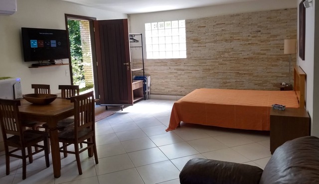 Studio a few steps from the wonderful Praia do Julião in Urubu