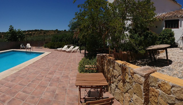 The courtyard house