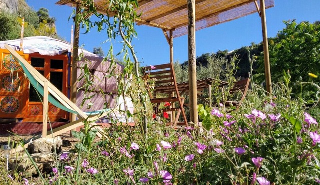 The ultimate in green accommodation