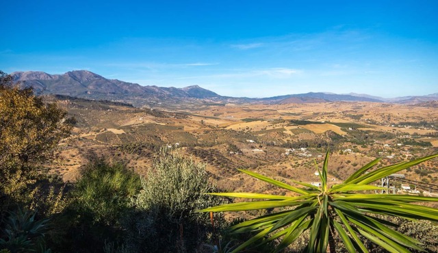 Three bedroom villa in Guaro