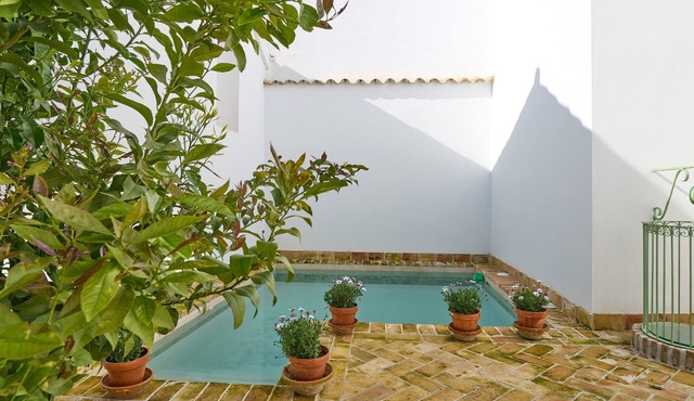 Tourist Rural Accommodation "Casa Palacio Vida" with Pool and Air Conditioning