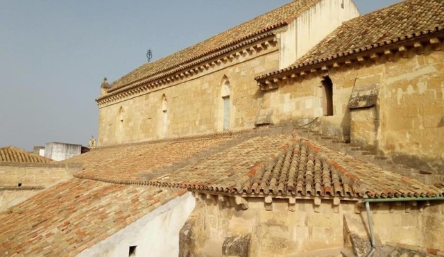 Vive el casco antiguo de Córdoba