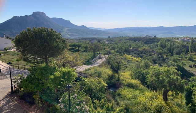 Wild Ivy House with Valley Views