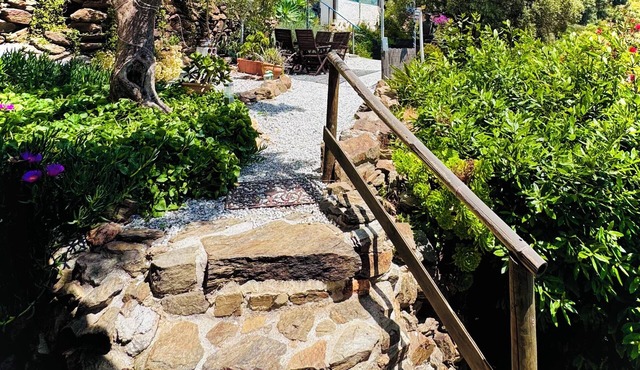 WINE AND ART CELLAR (Costa del Sol)