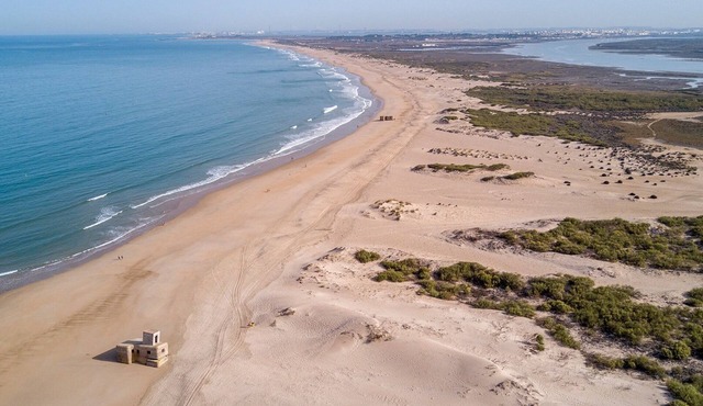 Your perfect summer between Cadiz and the beach - Villa exclusiva