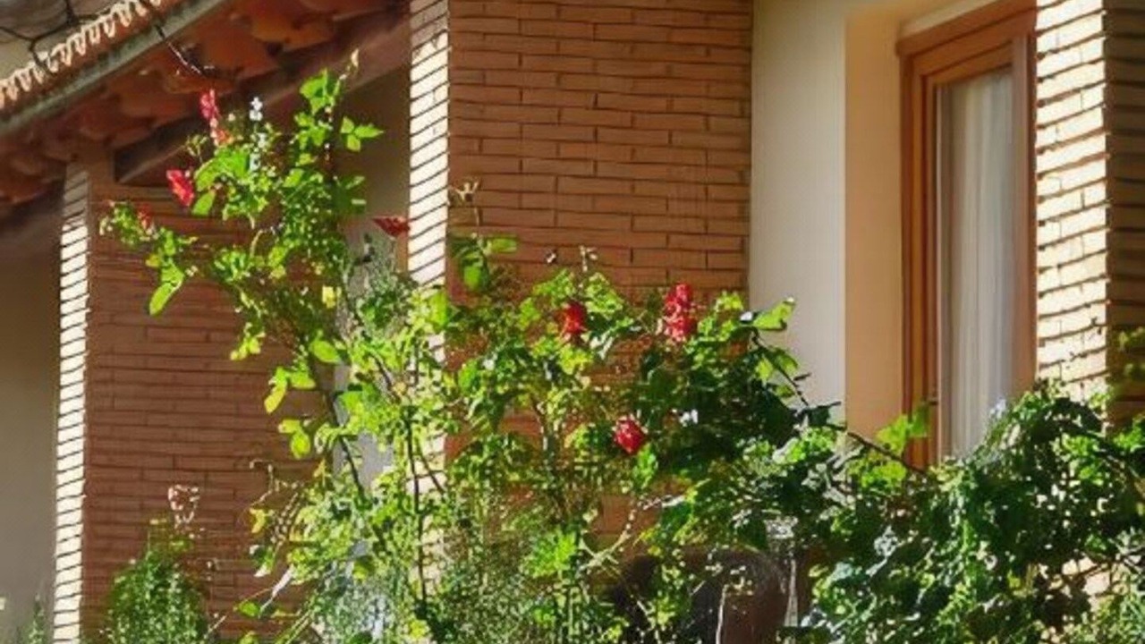 Photo of Buildings in Alajar