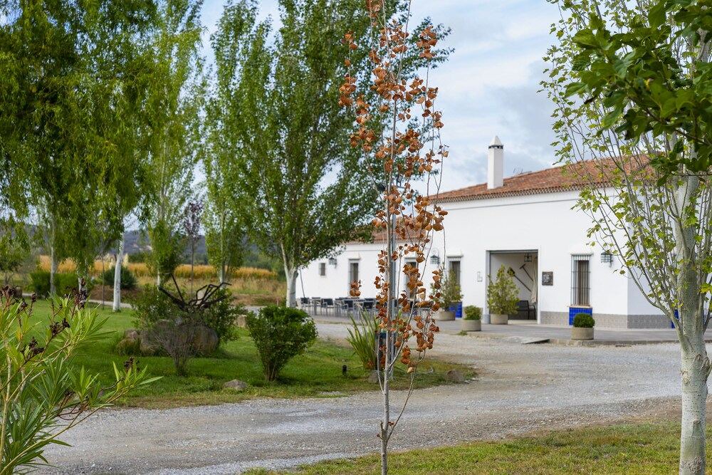 Photo of Buildings in Jerez de los Caballeros