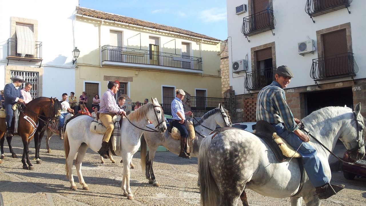 Photo of Others in El Altico