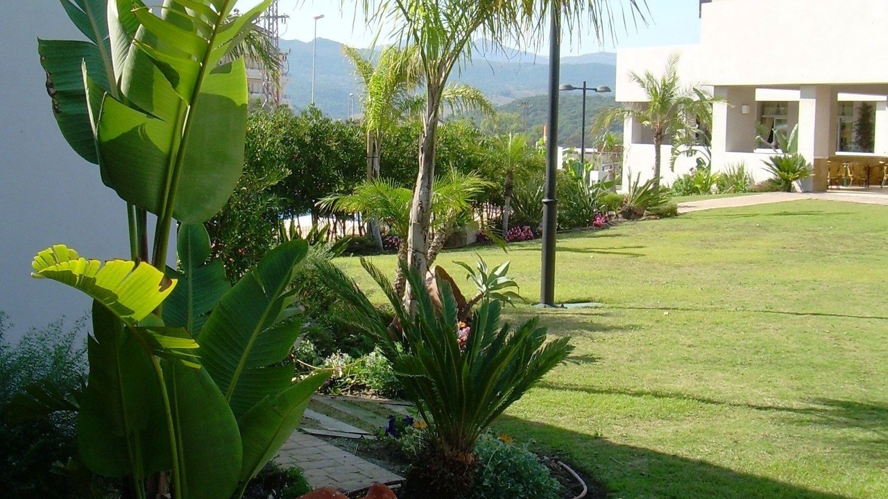 Photo of Others in Los Barrios