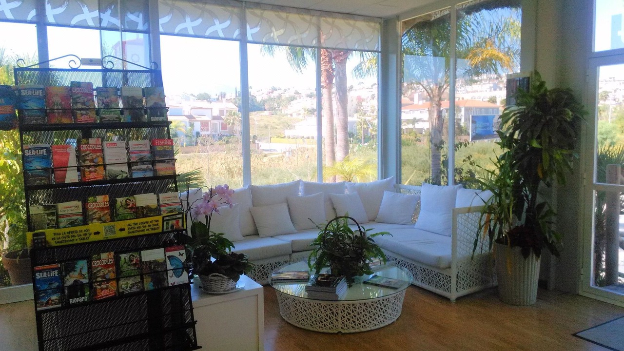 Photo of Livingroom in New Golden Mile