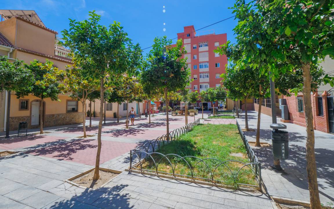 Photo of Others in El Palo