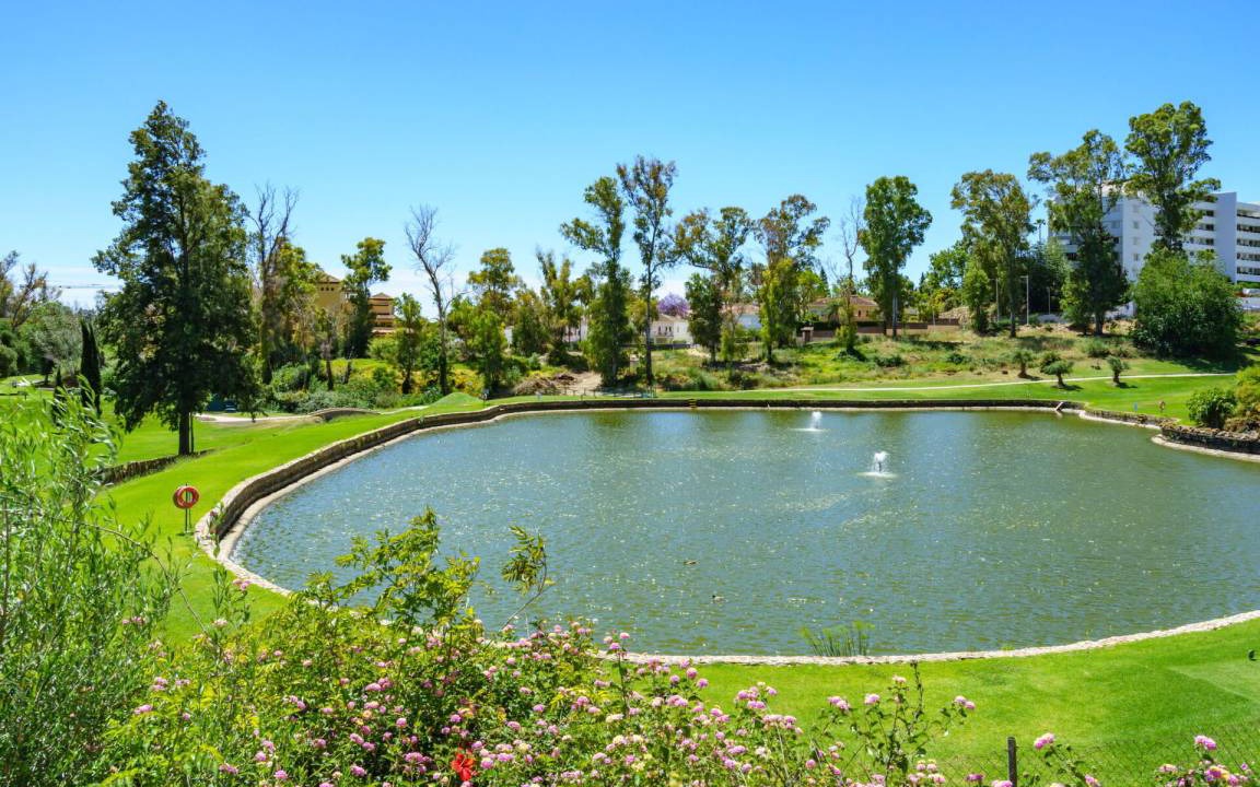 Photo of Others in Guadalmina