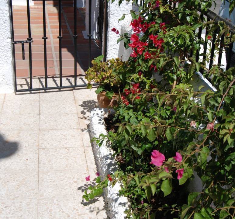 Photo of Others in Nerja City Centre