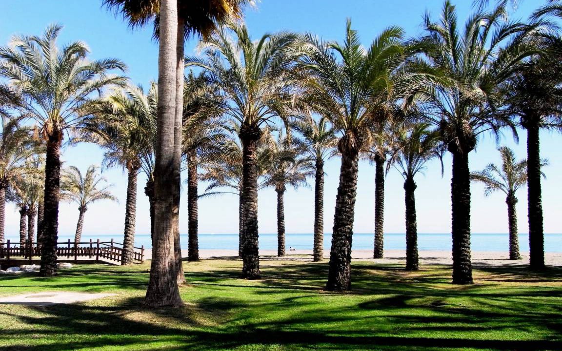 Photo of Others in Torremolinos