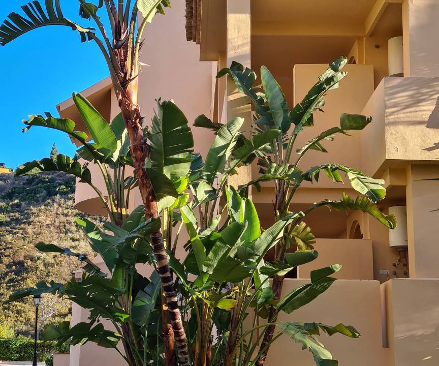 Photo of Others in Elviria
