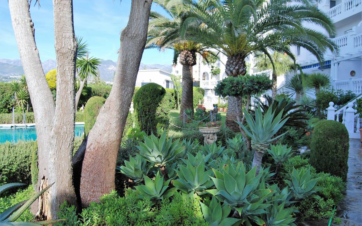 Photo of Others in Nerja