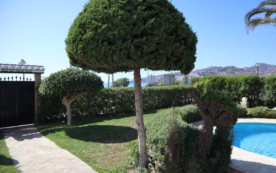 Photo of Others in Nerja
