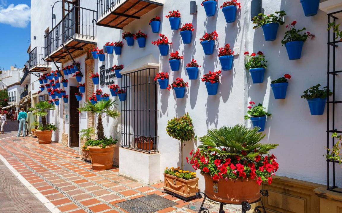 Photo of Others in Puerto Banus