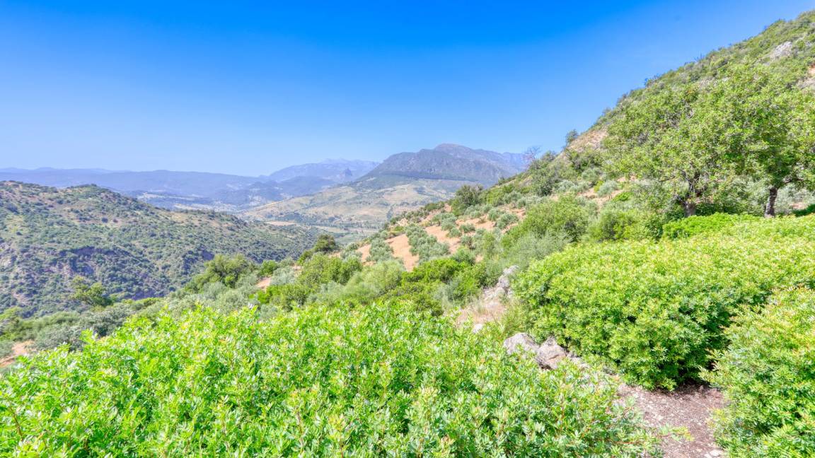 Photo of Others in Montecorto