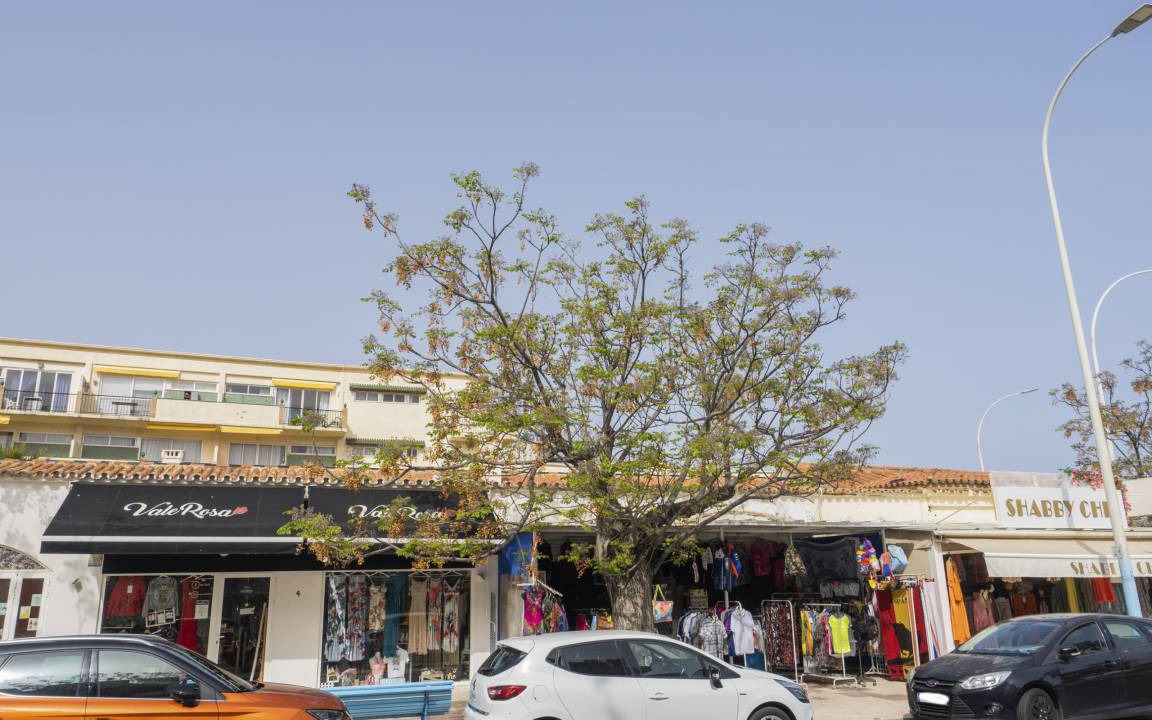 Photo of Others in Torremolinos