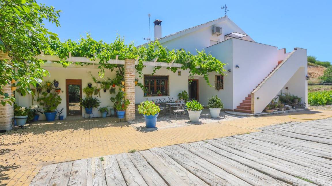 Photo of Others in Montemayor