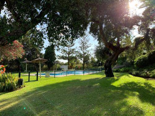 Photo of Others in Elviria