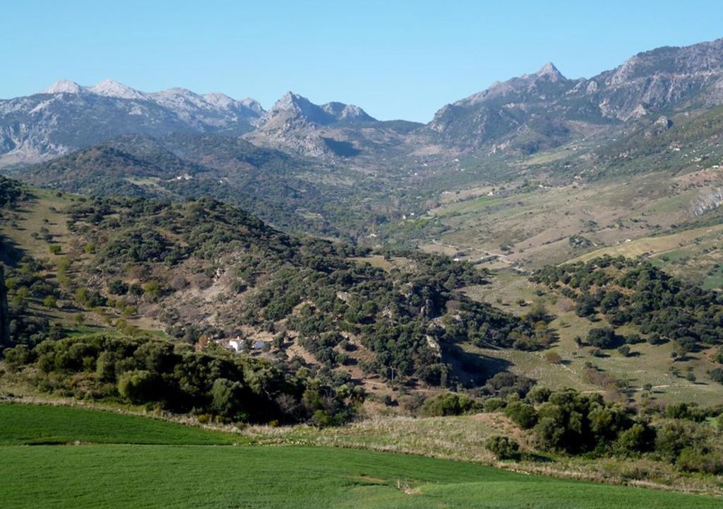 Photo of Outdoor in Grazalema